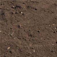 DBM's Bulk Bag Grade A Topsoil is our most premium and best quality soil, typically used for landscaping and garden beds.