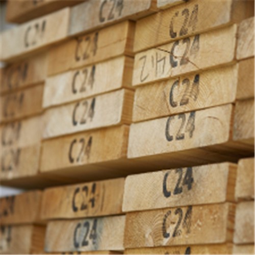 Treated Timber C24